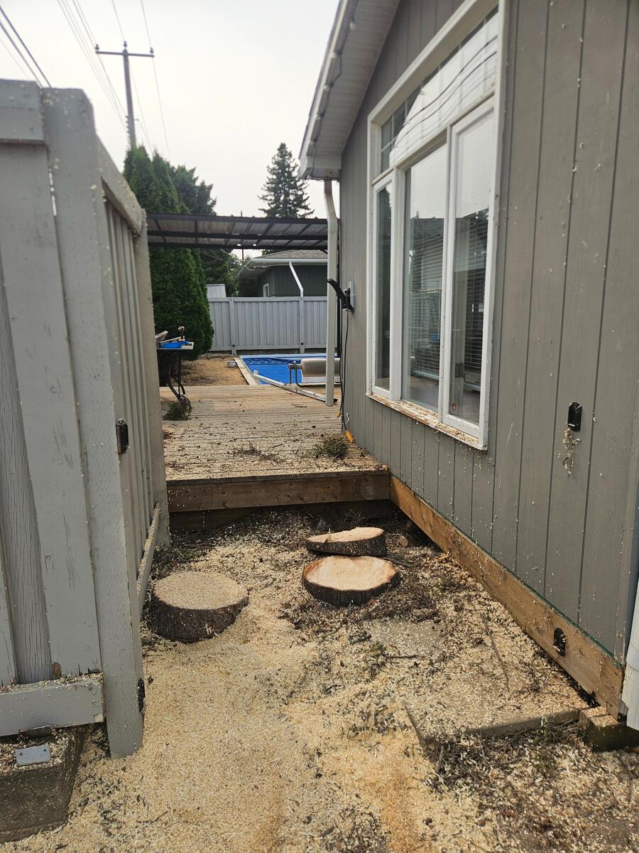 After: Tree completely removed from tight space, stump cut flush